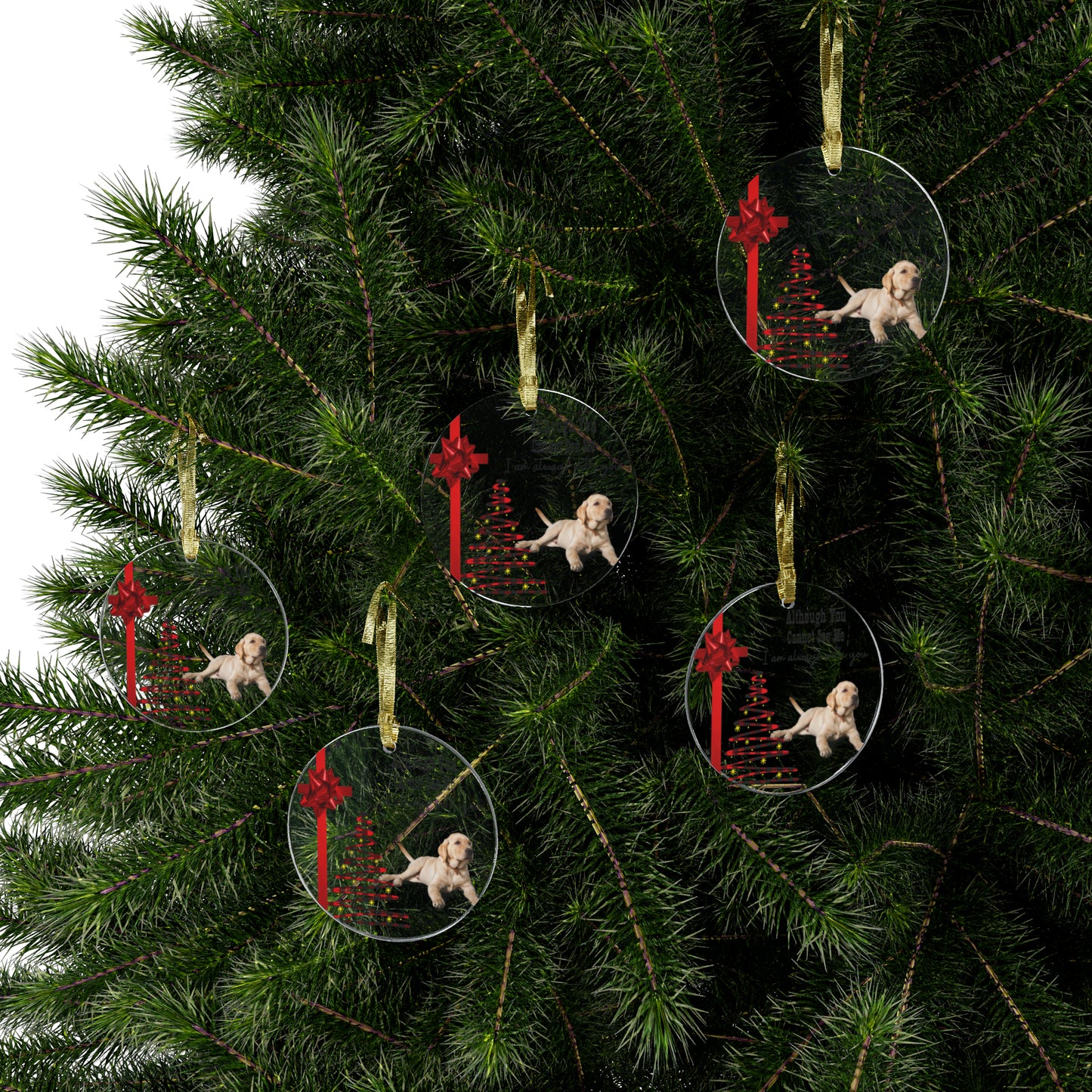 Beloved Pet Memorial - Although You Cannot See Me | Acrylic Ornaments (Customizable)