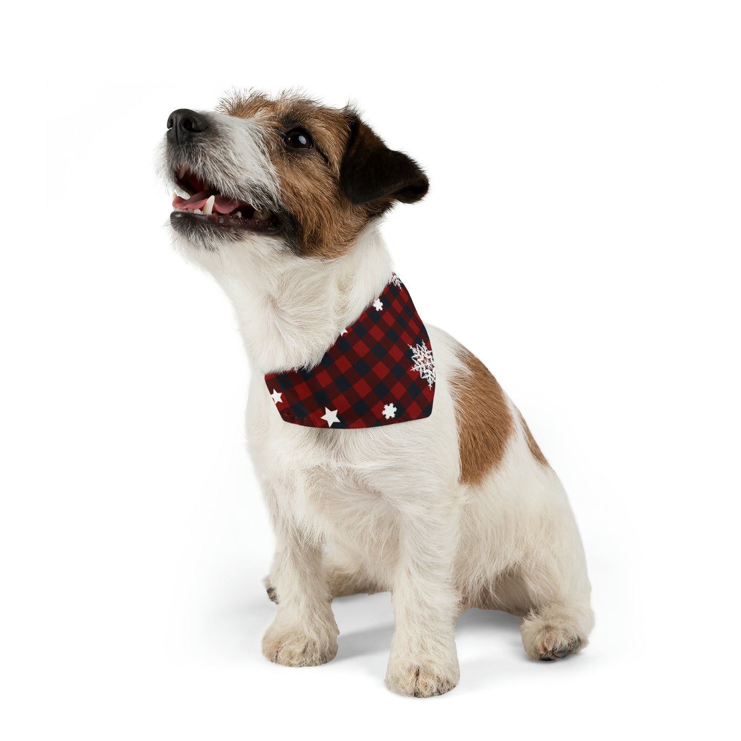 Holday Red and Black | Pet Bandana Collar