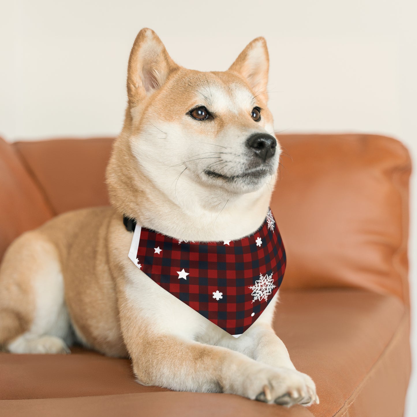 Holday Red and Black | Pet Bandana Collar