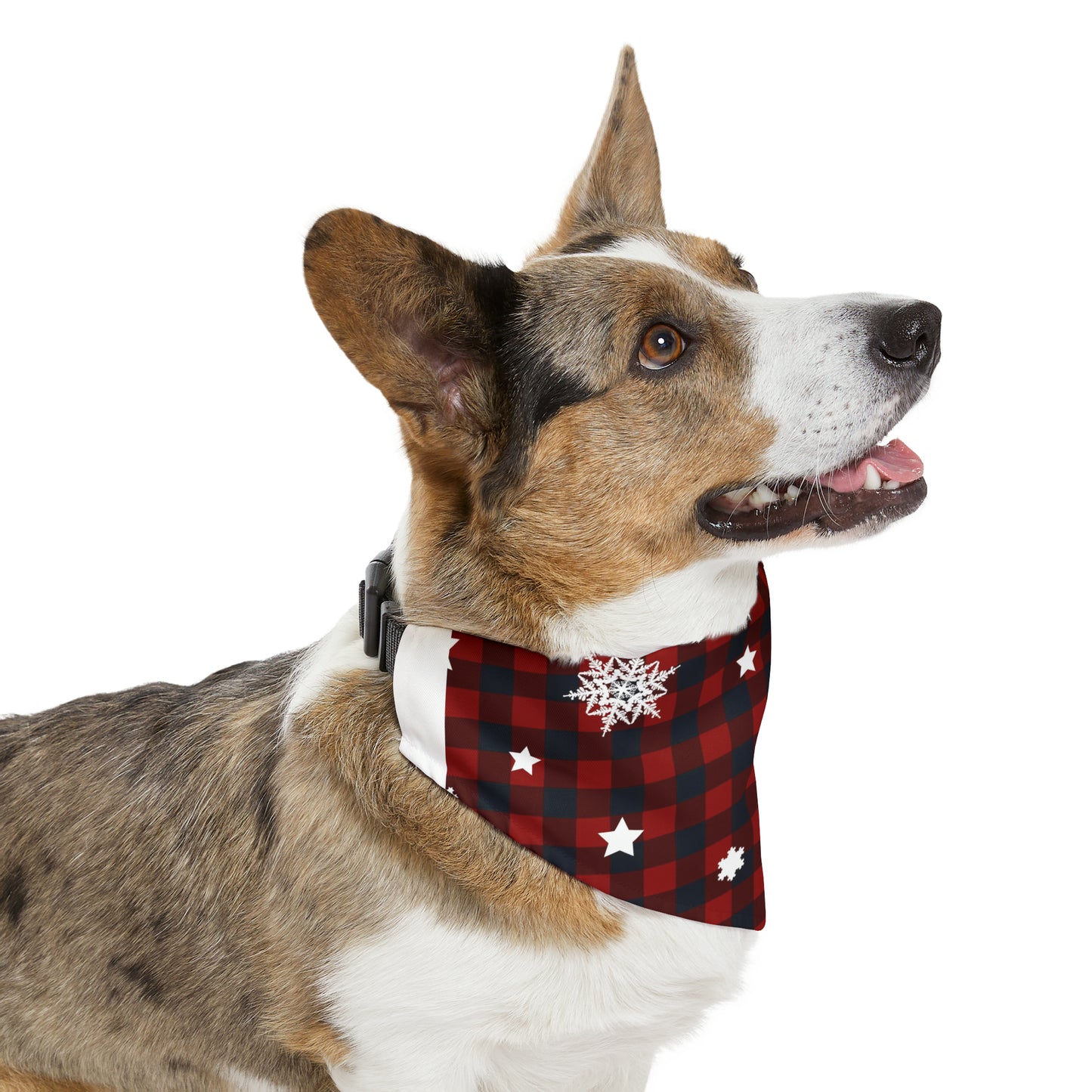 Holday Red and Black | Pet Bandana Collar