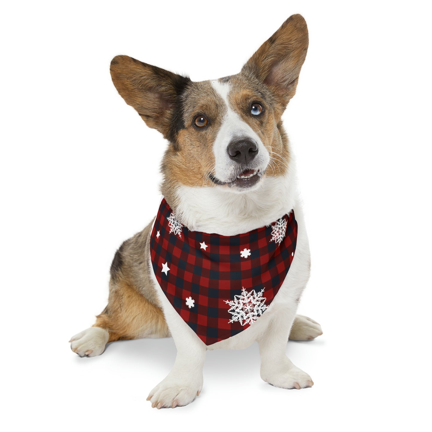 Holday Red and Black | Pet Bandana Collar